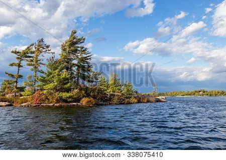 Autumn Landscape Of Pine Trees On An Island In Lake Huron, Ontario, Canada