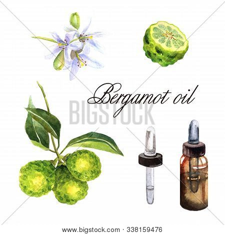 Watercolor Illustration With Essential Oil Of Bergamot On A White Background