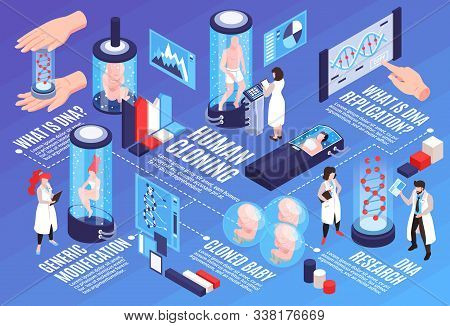 Human Cloning  Infographics Horizontal Illustration With Text And Visual Information About Generic D