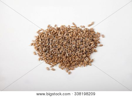 Sprout Of Wheat In Clay Bowl Isolated On White Background