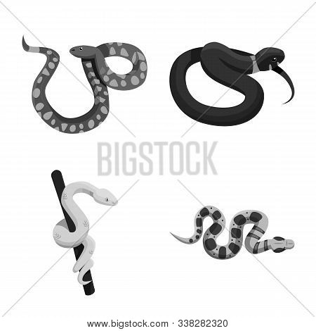 Vector Design Of Snake And Creepy Sign. Collection Of Snake And Animal Stock Vector Illustration.