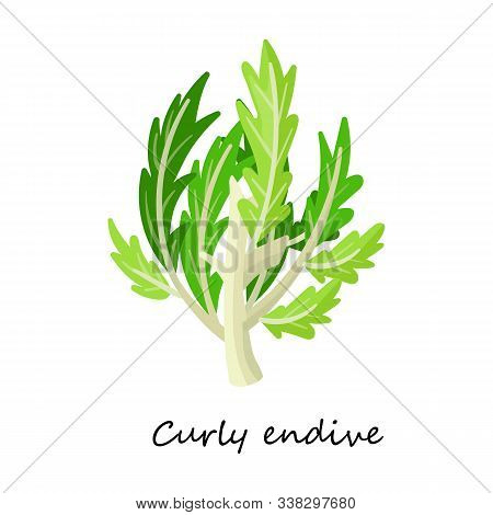 Curlu Vector Icon.cartoon Vector Icon Isolated On White Background Curlu .