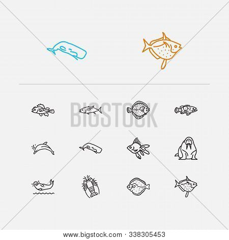 Seafood Icons Set. Spiny Lobster And Seafood Icons With Turbot, Walrus And Goldfish. Set Of Fighting