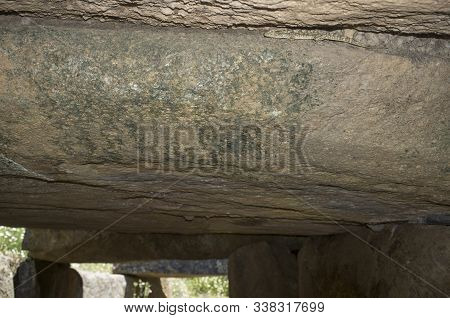 Lizard Under Horizontal Capstone Of Dolmen Of Lacara, The Biggest Megalithic Burial In Extremadura. 