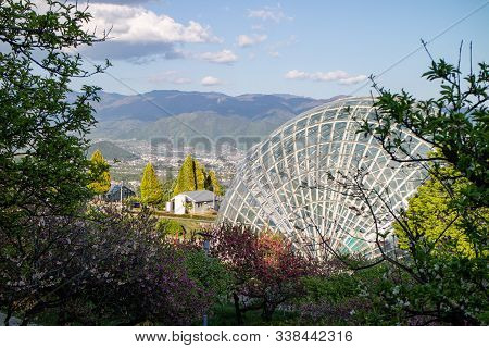 Yamanashi, Japan - 5 5 2019: Fruits Park In Japan, A Popular Destination Near Kofu In Yamanashi
