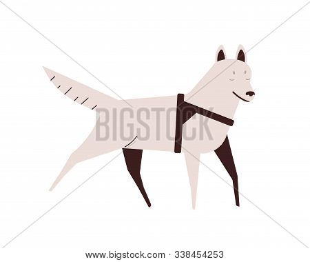 Blind Dog Flat Vector Illustration. Active Running Pet. Puppy With Disability, Illness Concept. Dome