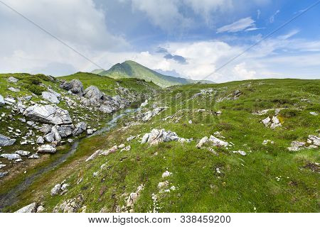 Alpine Meadow In Beautiful Rodna Mountains In Romania