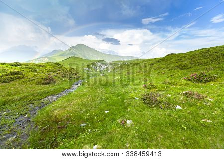 Alpine Meadow In Beautiful Rodna Mountains In Romania