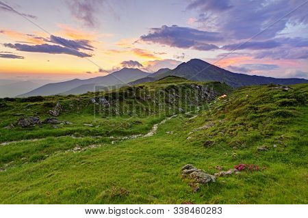 Alpine Meadow In Beautiful Rodna Mountains In Romania