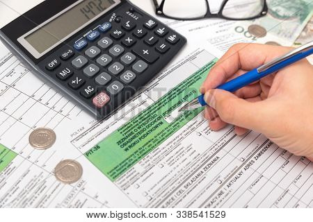 Polish Tax Form. Finance, Tax Income, Man Filling Tax Form