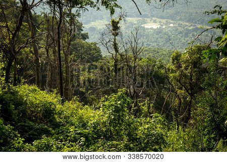 Scenic Landscape View Of The Plains From The Ghats On The Way To Yercaud, Tamil Nadu, India