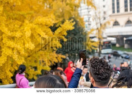 Chengdu, Sichuan Province, China - Dec 8, 2019 : Young Man Taking Photos Of Yellow Leaves On Gingko 