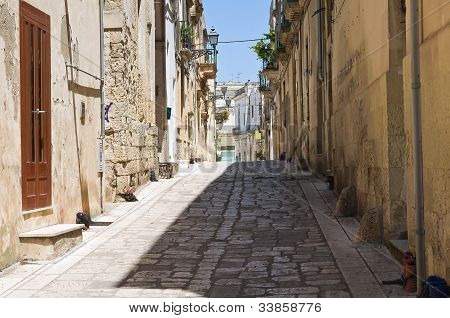 Aleja. Martano. Puglia. Włochy.