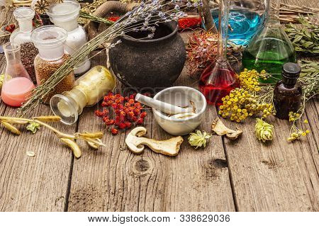 Witch's Laboratory. Alchemical Equipment, Halloween Concept