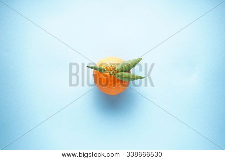 Flat Lay Fresh Orange Mandarin With Green Leaves, On A Bluel Background