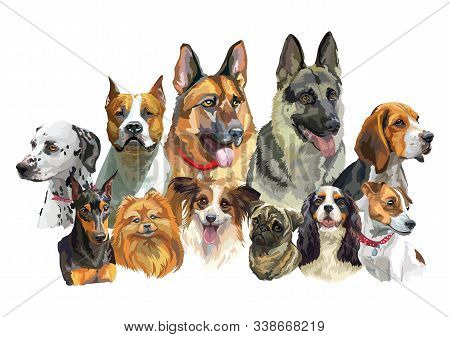 Colorful Vector Photo Free Trial Stock Colorful Vector Photo Free