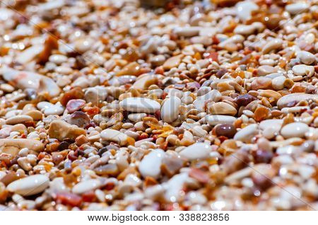 Coastal Pebbles Washed By Adriatic Sea Water Waves On Baia Delle Zagare Beach In Gargano National Pa