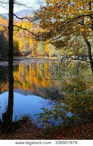Derin Lake In Yedigoller National Park, Bolu, Turkey