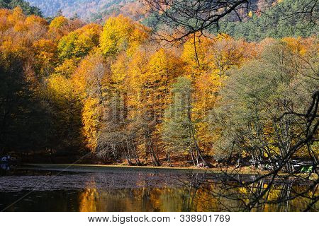Derin Lake In Yedigoller National Park, Bolu, Turkey