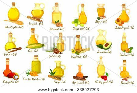 Set Of Isolated Nut Oil Bottles. Drink And Body Care, Medicine Product. Grape And Argan, Wheat And A