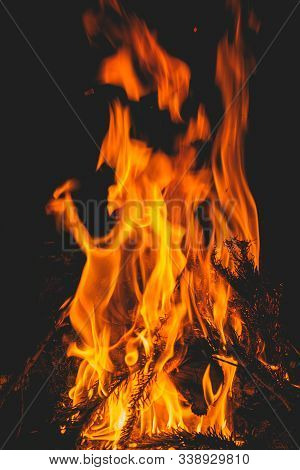 Background Bonfire From Branches In The Fireplace . Flame Sparks Of Fire On A Black Background Burni