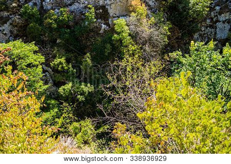 Ekopateka Hotnitsa Is That Chain Of Wooden Bridges That Helps You Climb The Massif Through Which The