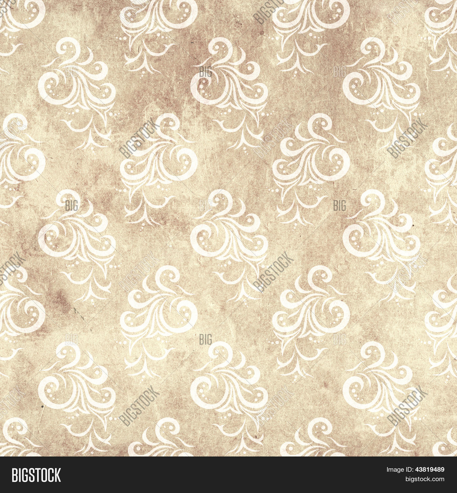 Photo Background Paper Seamless Background Image & Photo (Free Trial) | Bigstock