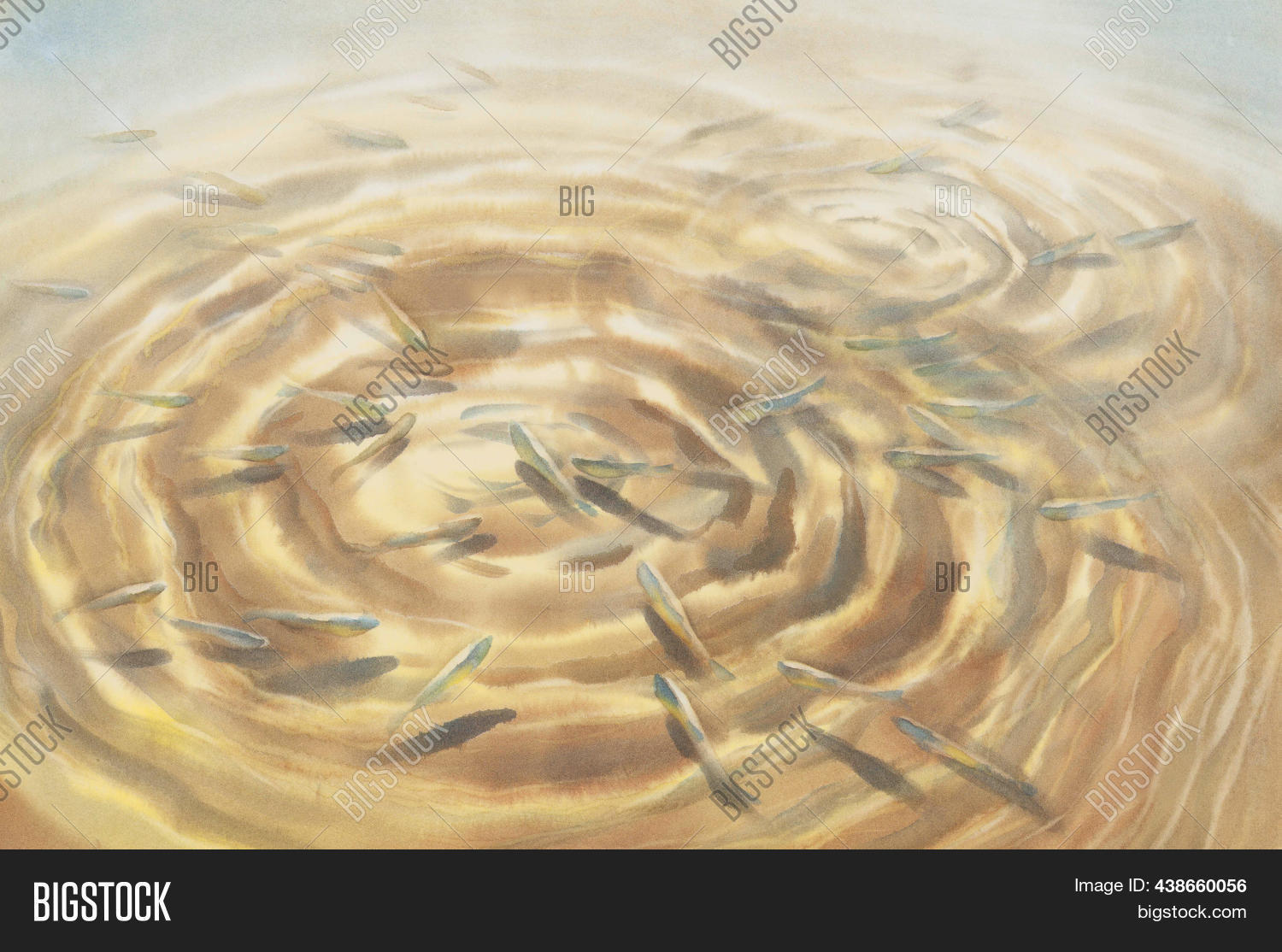 Sunny Water Ripples Image & Photo (Free Trial) | Bigstock