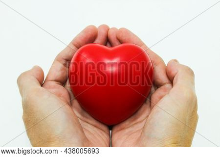 Heart In Hand Isolated On The White Background
