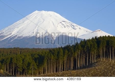 Hakkaus kotona Japani