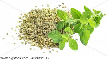 Oregano Or Marjoram Herbs  Isolated On White Background. Fresh And Dried Oregano Spice