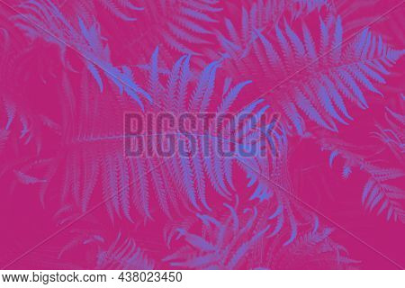 Innuendo Toned Fern Leaves Petals Background. Vibrant Innuendo Skydiver Foliage. Tropical Leaf. Exot