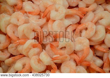 Fresh Shrimps On Akko Market. Akko(acre), Israel.