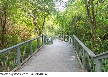 Stairs Between Green Trees To Baltic Sea.