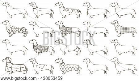 Dachshund Isolated Outline Set Icon. Vector Illustration Dog On White Background. Vector Outline Set