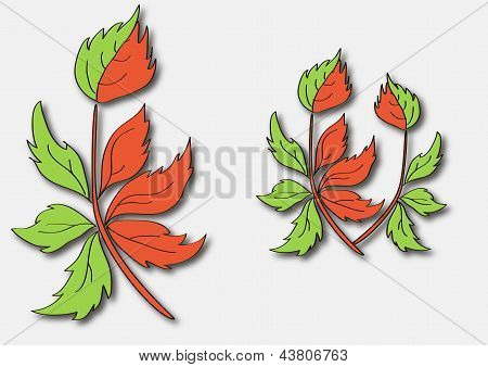 Leaf emblem