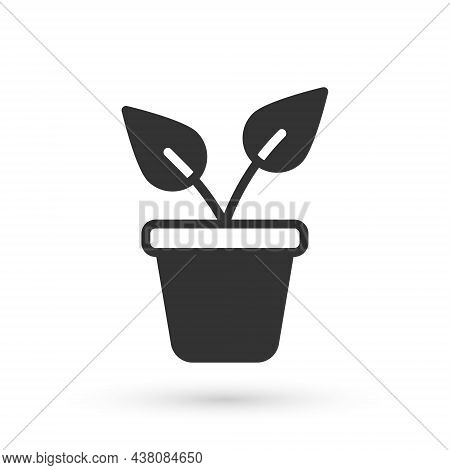 Grey Plant In Pot Icon Isolated On White Background. Plant Growing In A Pot. Potted Plant Sign. Vect