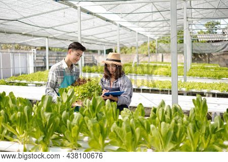 Hydroponics, Young Asian Farmers Examined The Quality Of Organic Vegetables Grown Using Hydroponics 