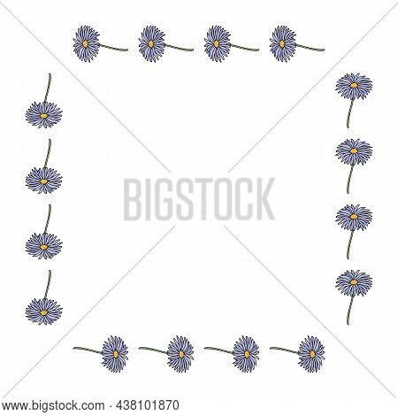 Square Frame With Horizontal Aster Dumosus Blaubox On White Background. Vector Image.