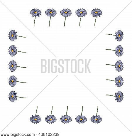 Square Frame With Aster Dumosus Blaubox On White Background. Vector Image.