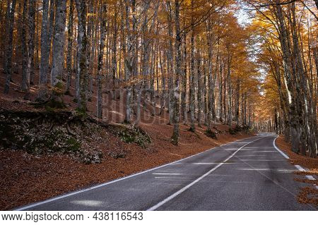 Forca D'acero Among The Wonderful Places To See In Autumn