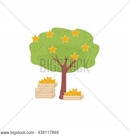Vector Cartoon Flat Full Grown Tree With Rating Stars Symbols Isolated On Empty Background-social Me