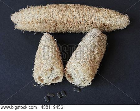 Sponge Gourd Or Luffa Cylindrica Or Egyptian Cucumber: Cross Section Of The Fibrous Fruit, With Seed