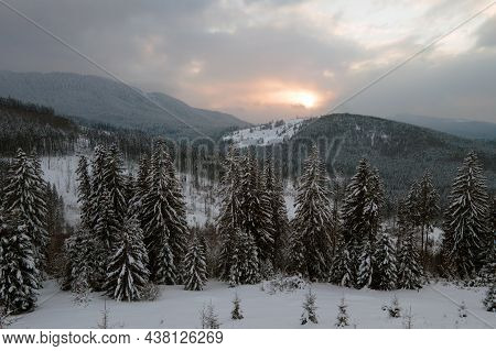 Aerial Winter Landscape With Spruse Trees Of Snow Covered Forest In Cold Mountains In The Evening.