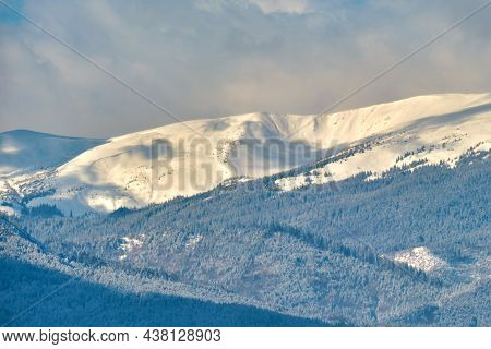 Winter Landscape With Spruse Trees Of Snow Covered Forest In Cold Mountains.
