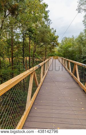 Footbridge Among Trees Over Small Szklarka River