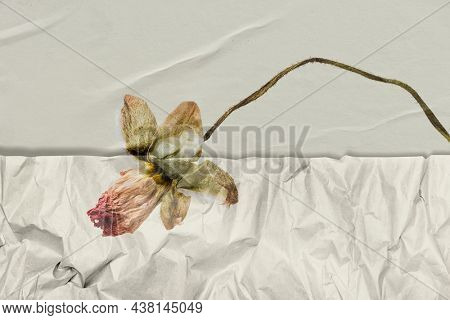 Hand drawn flower with wrinkled paper texture remixed media