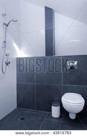 Servizi igienici in casa