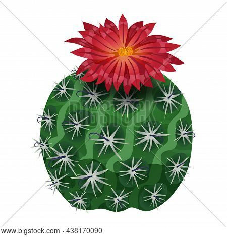 Cactus Composition With Isolated Image Of Parodia Flower On Blank Background Vector Illustration