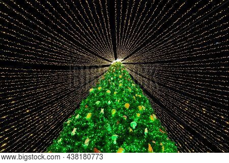 Beautiful Scenic Decorated Christmas Tree With Decorations And Illuminated By Light Garlands Against